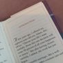 Mini life's little book on marriage and family book Image 3