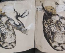 Owl Cushion Covers X 2