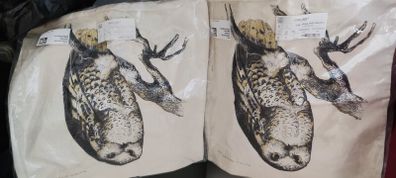 Owl Cushion Covers X 2