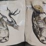 Owl Cushion Covers X 2 Image 4