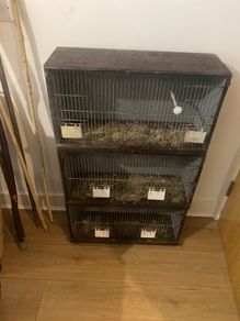 breeding cages