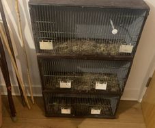 breeding cages