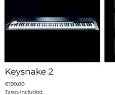 piano keysnake2