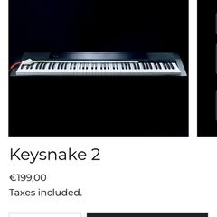 piano keysnake2