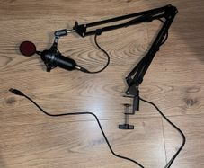 Microphone with arm