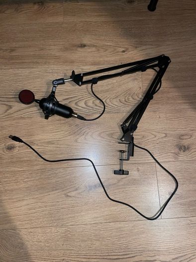 Microphone with arm
