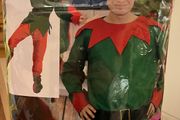Elf Halloween Costume