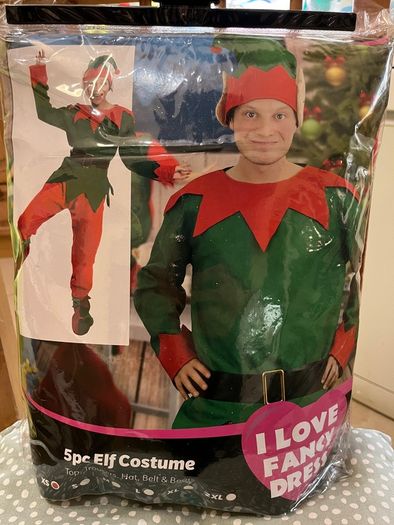 Elf Halloween Costume
