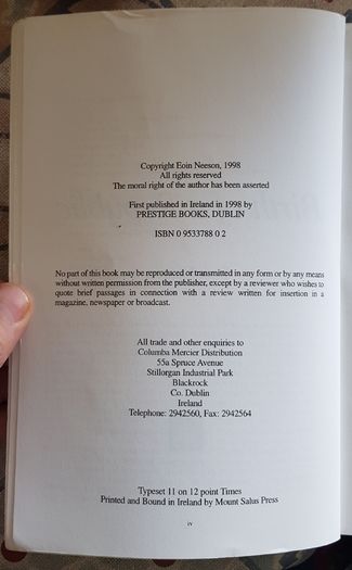 Birth Of A Republic by Eoin Neeson