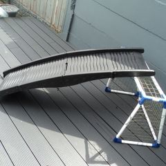 Plastic dog ramp