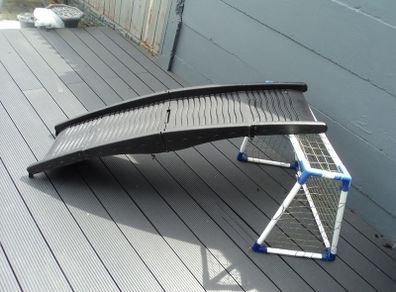 Plastic dog ramp