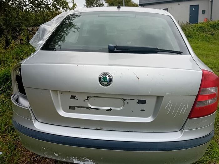 Breaking 2007 Skoda Octavia 2.0tdi for Parts