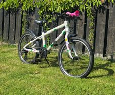 Frog 55 bike