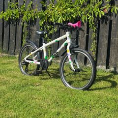 Frog 55 bike