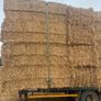 Pea straw/ pea Haulm FODDER Image 5