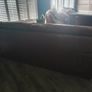 couch Image 2