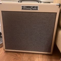 Roland Blues Cube Hot 30W Guitar Amplifier