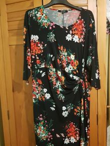 JD Williams Plus size Dress