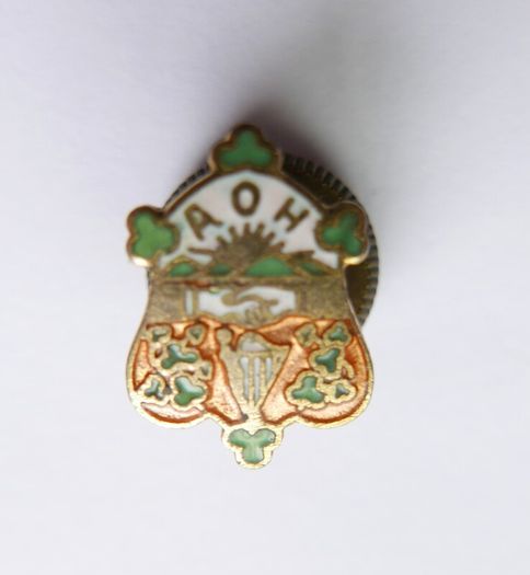 Vintage Irish Ancient Order Of Hibernian Enamel Badge