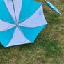 Umbrella Image 2