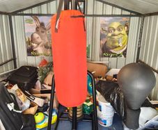 Punch bag with stand, punch ball and weight bench