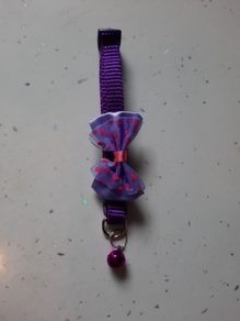 cute cat collar with bell