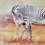2 Piece Vanessa Jayne Large Wooden And Glass Framed Prints - Lion Family And Zebra Family Image 4