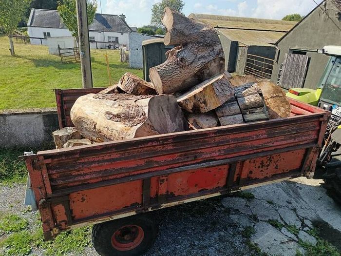 firewood