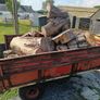 firewood Image 4
