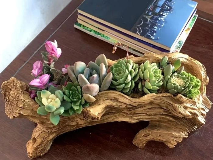 Stump Flower Succulent Plant Pot, Unique Indoor Outdoor Desktop Office Plant Pot, with Drainage Holes