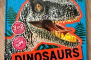 Dinosaur Book