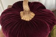 Velvet Pumpkin
