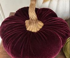 Velvet Pumpkin