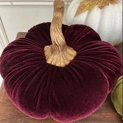 Velvet Pumpkin
