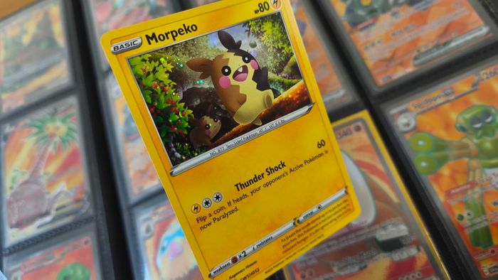 Morpeko ! Promo from Sword & Shield Era ! 2020 ! Pokemon Card !