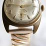 Vintage Tempo Watch 17 Jewels Incabloc Swiss made Manual Watch (works well and keeps time) Image 5