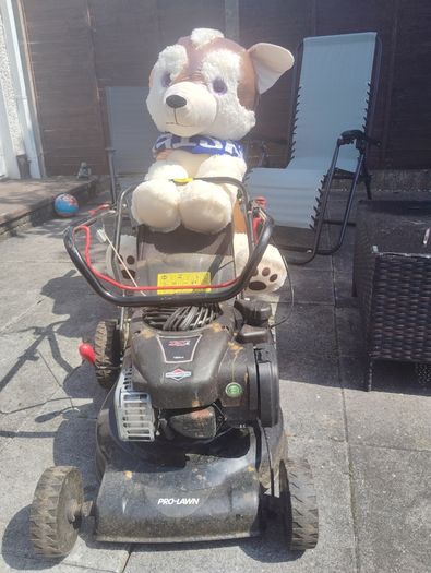 Lawnmower