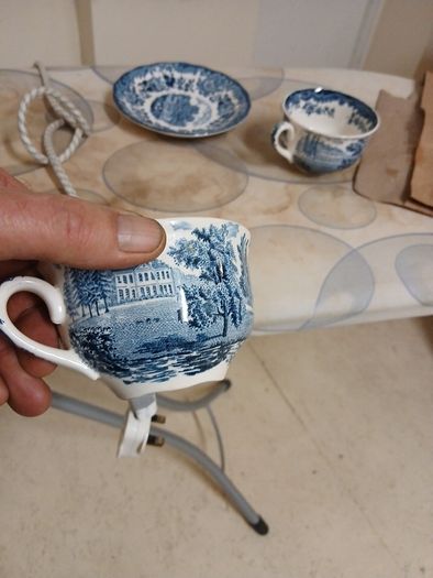 palissy avon scenes