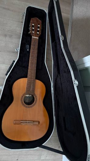 Guitar Cases