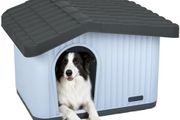 Dog House
