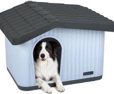Dog House