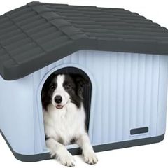 Dog House