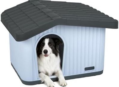 Dog House