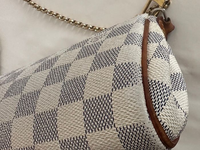 Louis Vuitton Eva bag