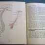 Emergency street first aid for air raid casualties World War 2 1942 Image 6