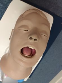 Larry Airway training head.
