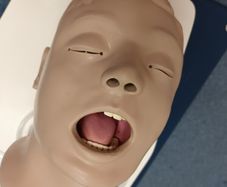 Larry Airway training head.