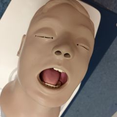 Larry Airway training head.