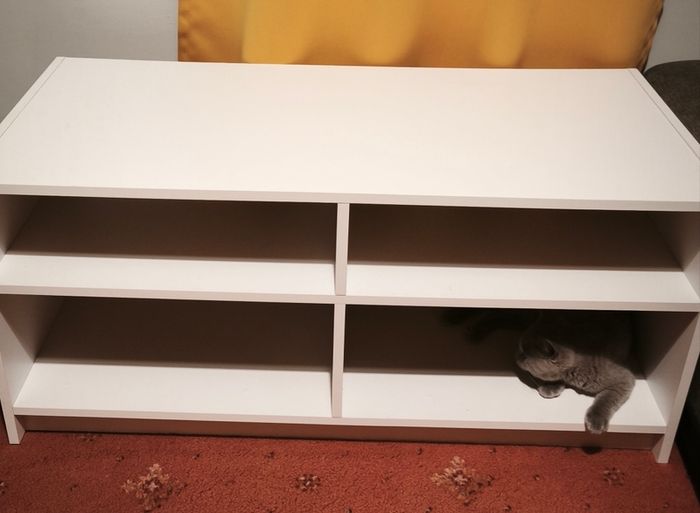 Cabinet shelf