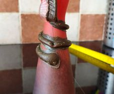 Franz Caffrey Rare Handcrafted Art Nouveau Bud Vase with Copper Snake or Flower Design